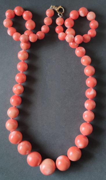 null 
COLLIER DE CORAIL , fermoir en or jaune 750°/00 Long. : 74 cm
