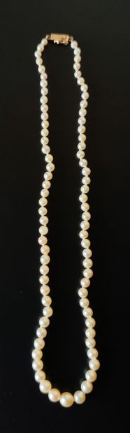 null NECKLACE OF CULTURE PEARLS, the clasp in yellow gold 750°/00

L : 38 cm. Gross...