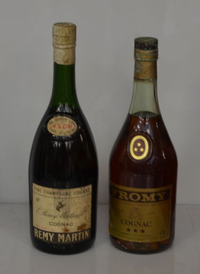 null 2 bouteilles : 1 TRES VIEUX COGNAC REMY MARTIN FROMY, 1 COGNAC REMY MARTIN ...