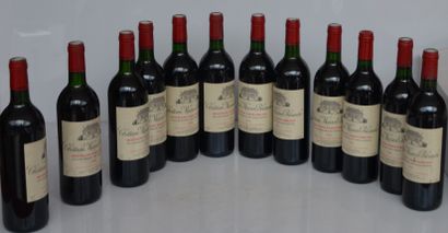  12 bouteilles CHÂTEAU LA MAISON BLANCHE 1994 Médoc BG