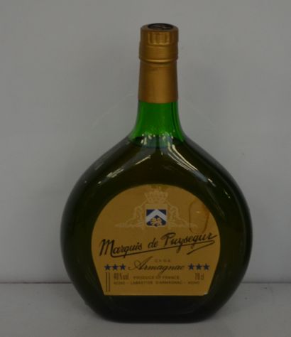 null 1 bouteille ARMAGNAC MARQUIS DE PUYSEGUIN VIEUX