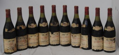 10 bottles GEVREY CHAMBERTIN LUPPE CHOLET...