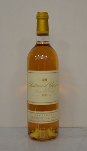 1 bouteille CHT D'YQUEM 1995