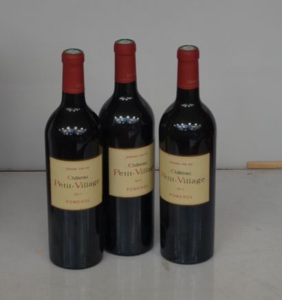 null 3 bottles CHÂTEAU PETIT VILLAGE 2011