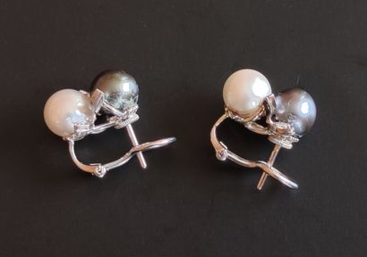 null 
PAIR OF EARRINGS in white gold 750°/00 decorated with white and black pearls...