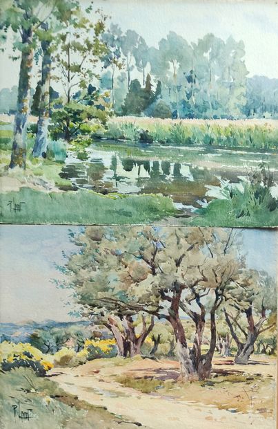 
René LEVERD (1872-1938)



Pond in the undergrowth...