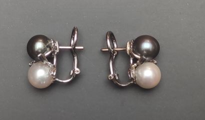 null PAIRE DE BOUCLES D'OREILLES en or gris 750°/°° ornée de perles blanche et noire...