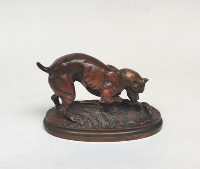 null Adrien TRODOUX (XIX)
Bouledogue attaquant un rat.
Epreuve en bronze d'édition...