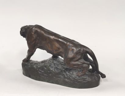 null Thomas CARTIER 1879/1943
Epreuve en bronze à patine brun nuancé, lionne rugissante...