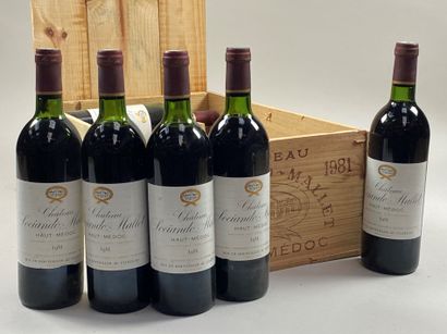 12 bottles Château Sociando-Mallet 1981 Haut...