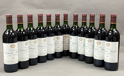 12 bouteilles Château Sociando-Mallet 1985...