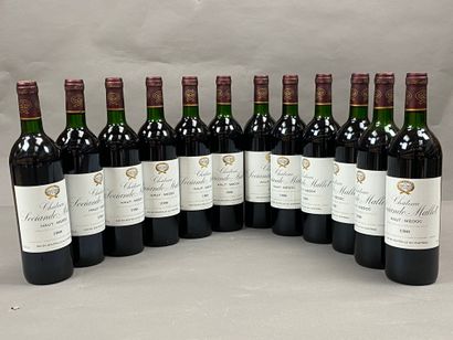 12 bottles Château Sociando-Mallet 1988 Haut...