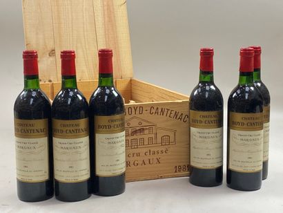 null 12 bouteilles Château Boyd-Cantenac 1981 3ème GCC Margaux CB (4 NTLB)