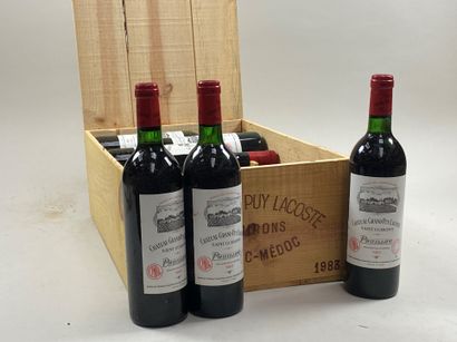 12 bouteilles Château Grand-Puy Lacoste 1983...