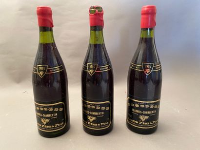null 3 bouteilles Charmes-Chambertin 1985 GC Camus P & F (cire abîmées)