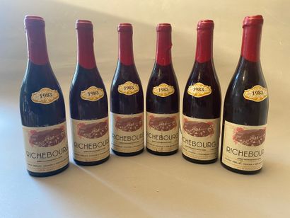 6 bouteilles Richebourg 1983 GC Charles ...