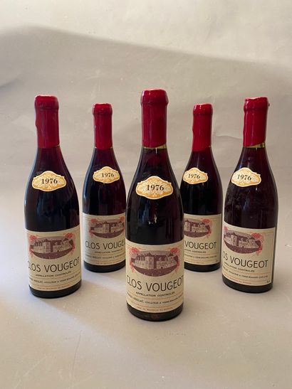 6 bouteilles Romanée Saint-Vivant 1976 GC...