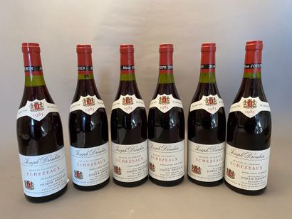 6 bouteilles Echezeaux 1985 GC Joseph Drouhin...