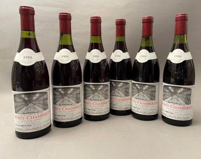6 bottles Gevrey-Chambertin 1988 Christophe...