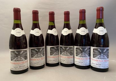 6 bottles Chambolle-Musigny 1988 1er C Christophe...