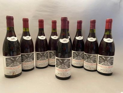9 bouteilles Chambolle-Musigny Vigneron du...
