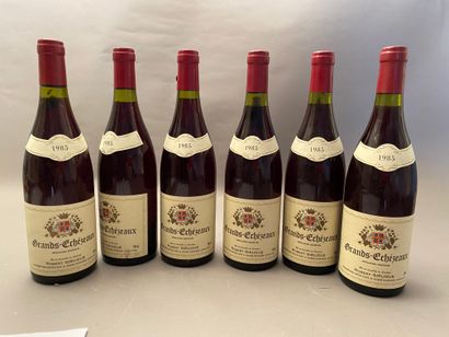 null 6 bottles Grands-Echézeaux 1985 GC Robert Sirugue