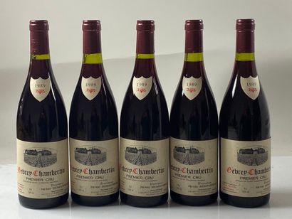 5 bouteilles Gevrey-Chambertin 1989 1er C...