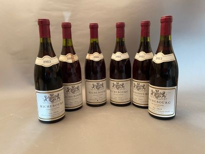6 bouteilles Richebourg 1983 GC Jean Gro...