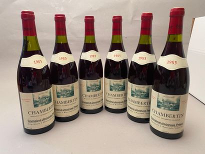 6 bouteilles Chambertin 1985 GC Dom Jacques...