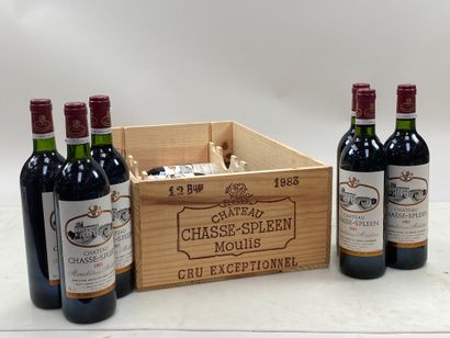 12 bouteilles Château Chasse Spleen 1983...