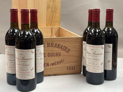 null 12 bouteilles Château Branaire Duluc Ducru 1981 4ème GCC Saint-Julien CB (BG/NTLB,...