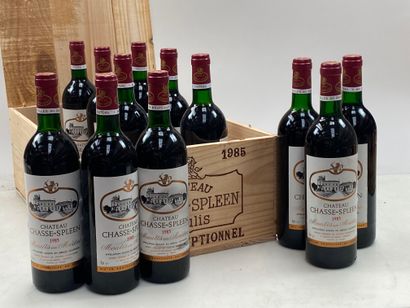 12 bouteilles Château Chasse Spleen 1985...