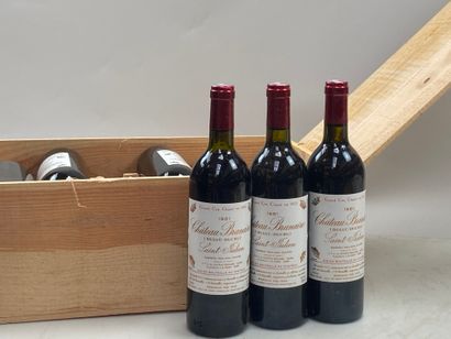 12 bouteilles Château Branaire Duluc Ducru...