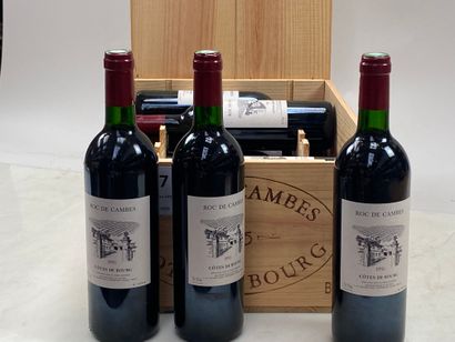 12 bottles Roc de Cambes 1995 Côtes de Bourg...