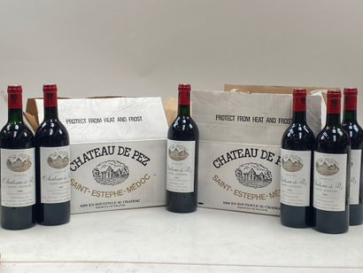 null 12 bouteilles Château de Pez 1985 Saint-Estèphe (2 carton d'origine) (BG/NT...
