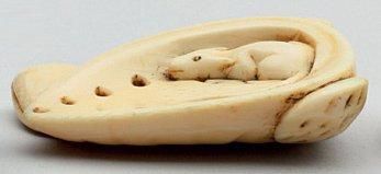 null NETSUKE en ivoire représentant un rat logé dans un coquillage posé sur trois...