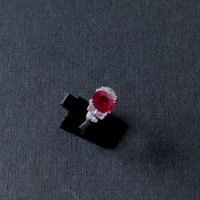 null RING in white gold 750°/00 set with a Burmese ruby of 3.59 carats accosted by...