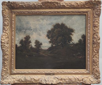 null Alfred Joseph DANNEQUIN (?-1890)
Country landscape with an old oak tree. 
Oil...