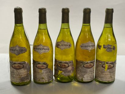 5 bouteilles Hermitage Grande Cuvée Chante-Alouette...