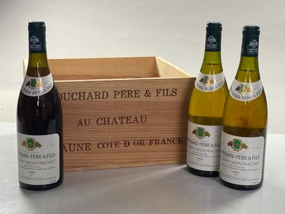 6 bouteilles Puligny-Montrachet Les Pucelles...