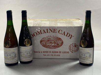 10 bottles Cuvée Anatole Pierre 1989 Domaine...