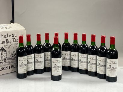 null 12 bouteilles Château Moulin Pey-Labrie 1982 Canon Fronsac (carton d'origine)...