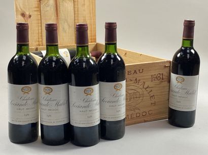 null 12 bouteilles Château Sociando-Mallet 1981 Haut Medoc CB (NTLB)