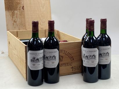 null 12 bouteilles Château d'Angludet 1985 Cbourgeois Margaux CB (BG/NTLB)