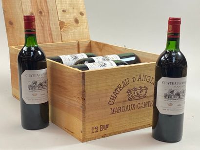 null 12 bouteilles Château d'Angludet 1982 Cbourgeois Margaux CB (NTLB)