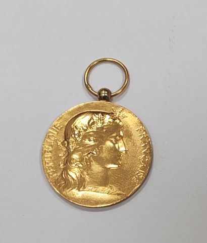 MEDAL in yellow gold 750°/00 from the Ministry...