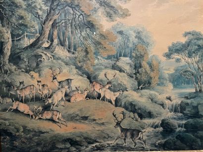 Samuel HOWITT (1756-1822)
Deer fight
Watercolor
29...