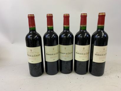 5 bouteilles MARQUIS DE CALON 2005 second...