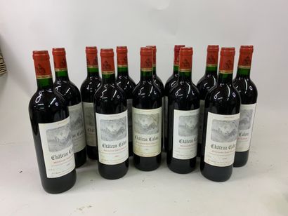 12 bouteilles CHÂTEAU CALON 1995 Monatagne...