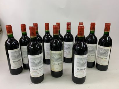 12 bouteilles CHÂTEAU CALON 1995 Monatagne...